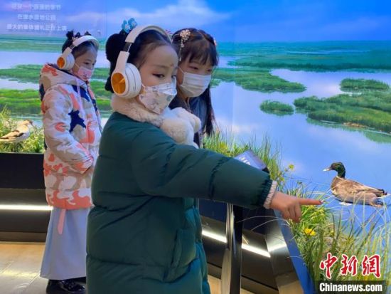 圖為學生在西寧市第一中學濕地科普宣教館內(nèi)參觀。　李江寧 攝