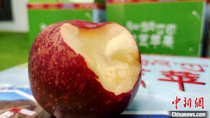 圖為通麥村特色甜心蘋(píng)果。　貢桑拉姆 攝