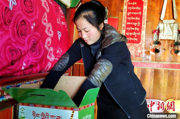 圖為通麥村村民巴桑拉姆把精心挑選的蘋(píng)果裝箱?！∝暽＠?攝