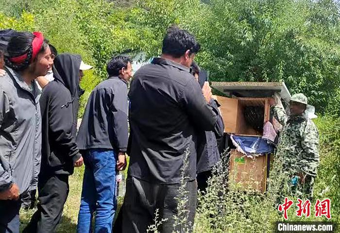 拉久西村村民學(xué)習(xí)養(yǎng)蜂工作流程和防范事項?！〔际忻⒖悼h委宣傳部供圖