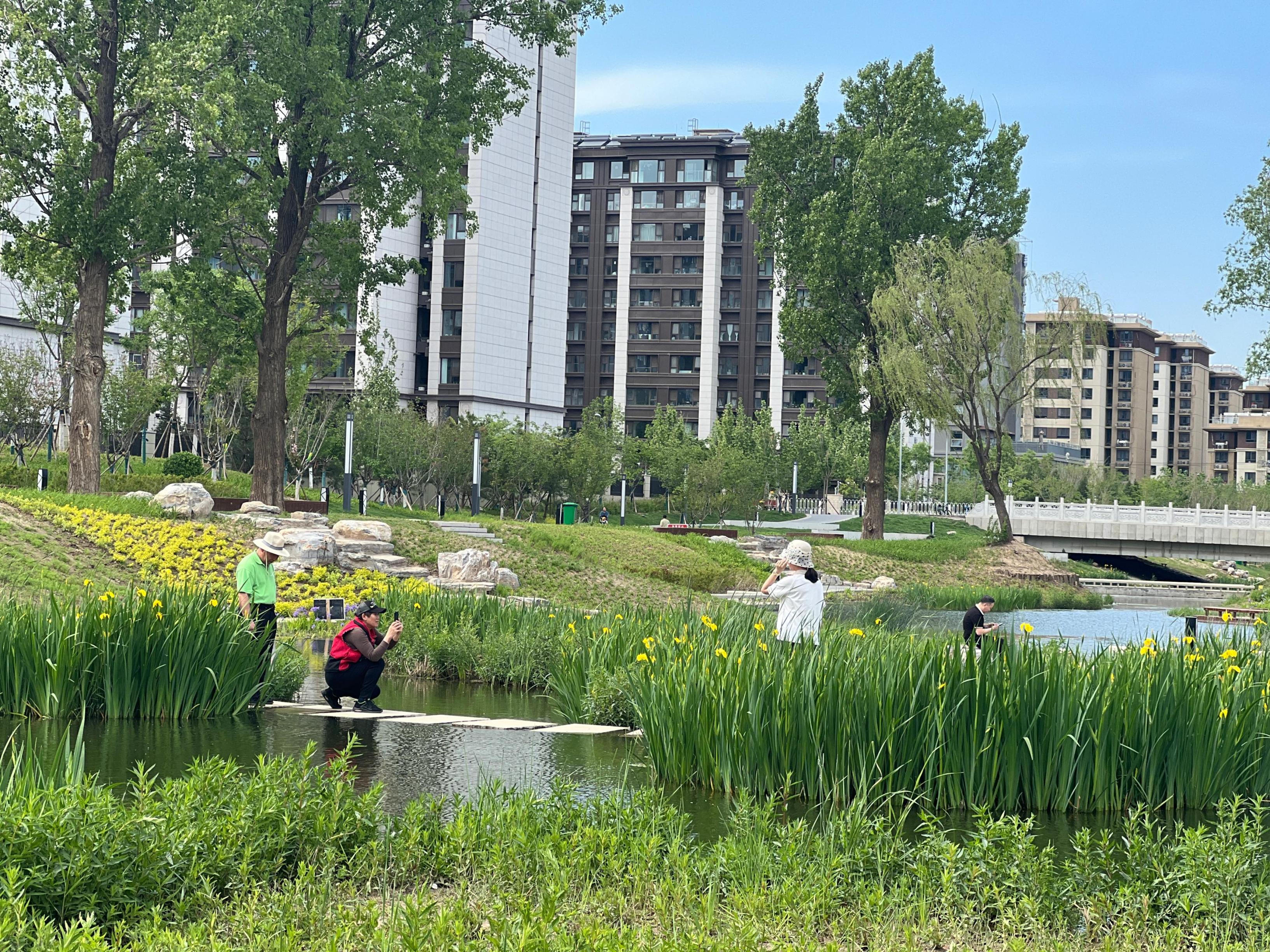 五一渠生態(tài)濱河公園內(nèi)，市民正在拍照留念。人民網(wǎng) 歐陽(yáng)易佳攝