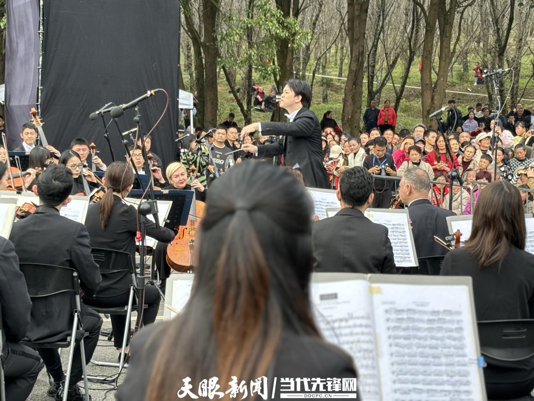 貴陽路邊音樂會·貴安櫻花園專場交響樂現(xiàn)場。丁亞 文丹 攝