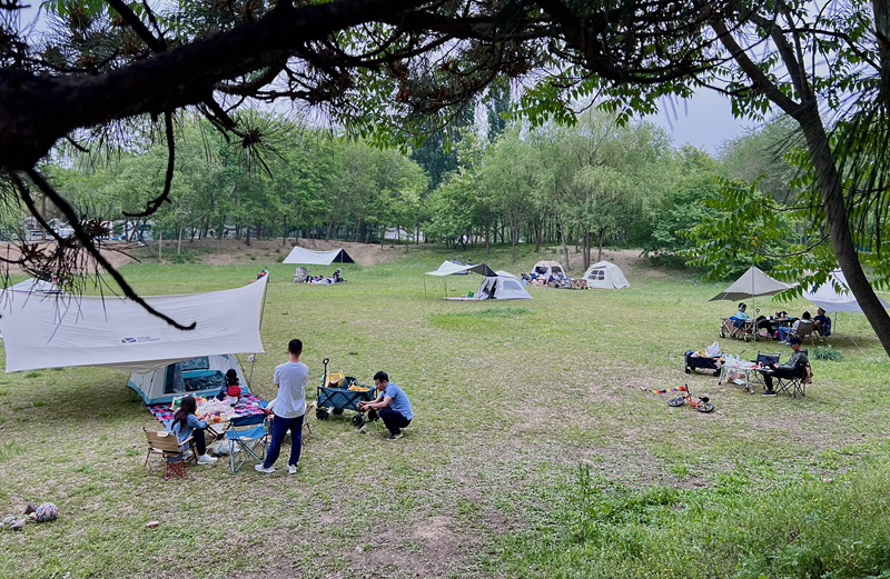 “自駕+露營(yíng)”等多元模式受熱捧。人民網(wǎng)記者 王連香攝