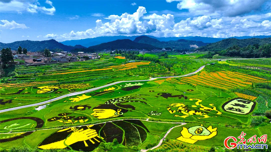 云南清水：延伸公共法律服務(wù)觸角，讓普法與民族團(tuán)結(jié)進(jìn)步互促共融
