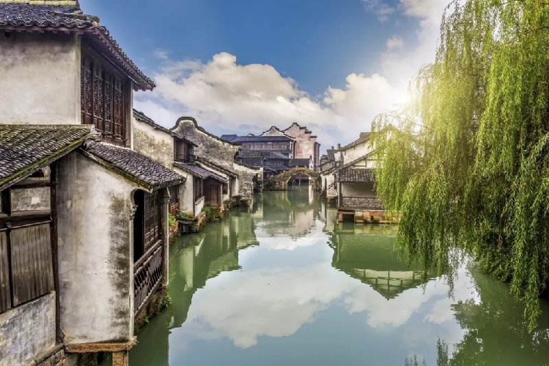 烏鎮(zhèn)動觀察｜這個字，牽起國際交流互鑒之紐帶