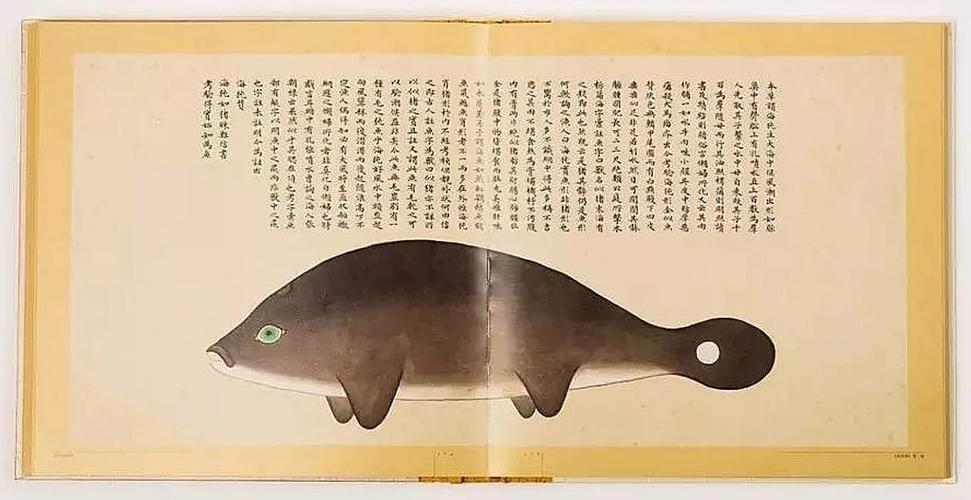 文化中國(guó)行 長(zhǎng)江之歌丨微笑的江豚，從四千年前“游”來