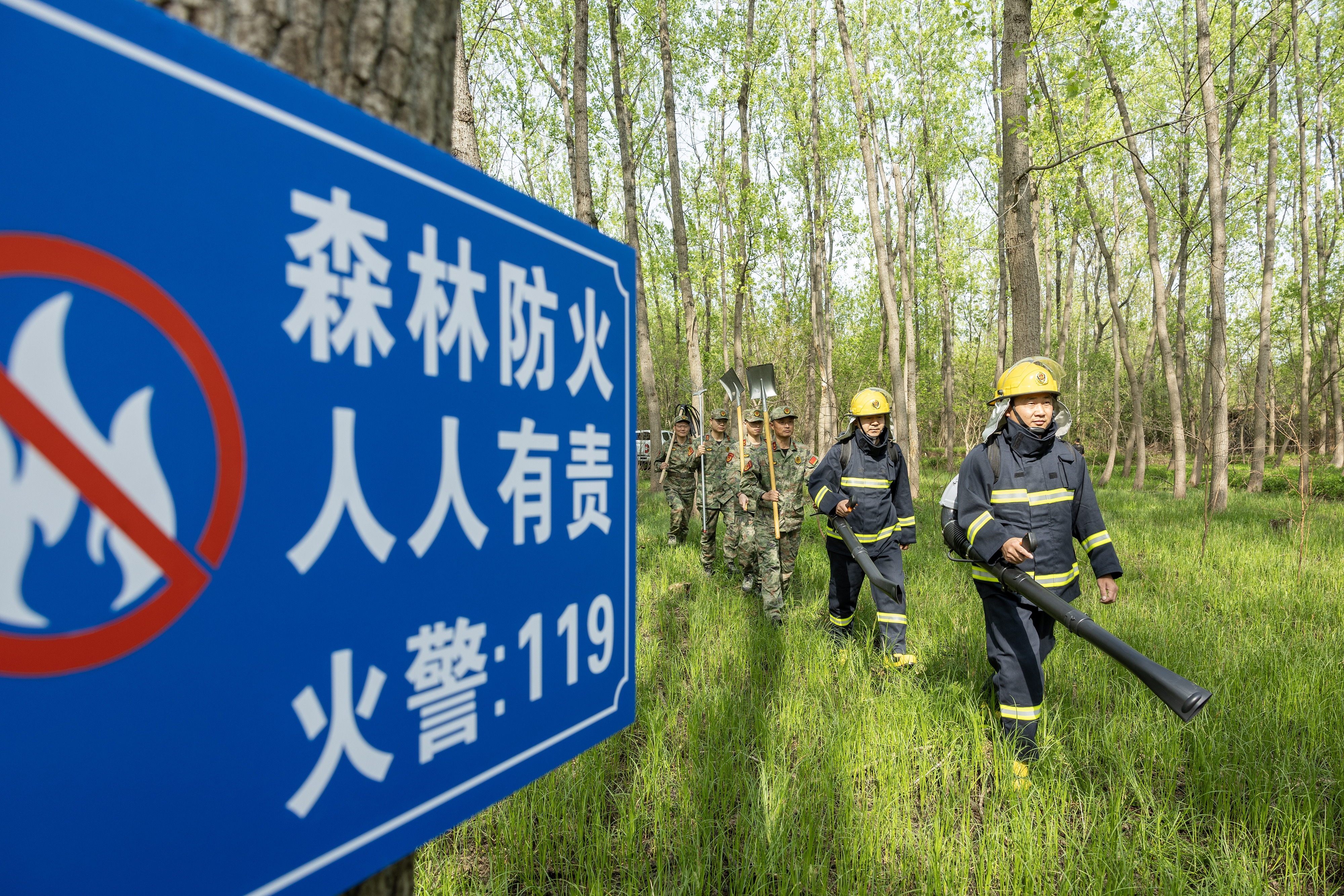 2024年4月9日，合肥市大房郢水庫水源保護地廬陽經(jīng)濟開發(fā)區(qū)段，基干民兵正在林間巡查火災(zāi)隱患。