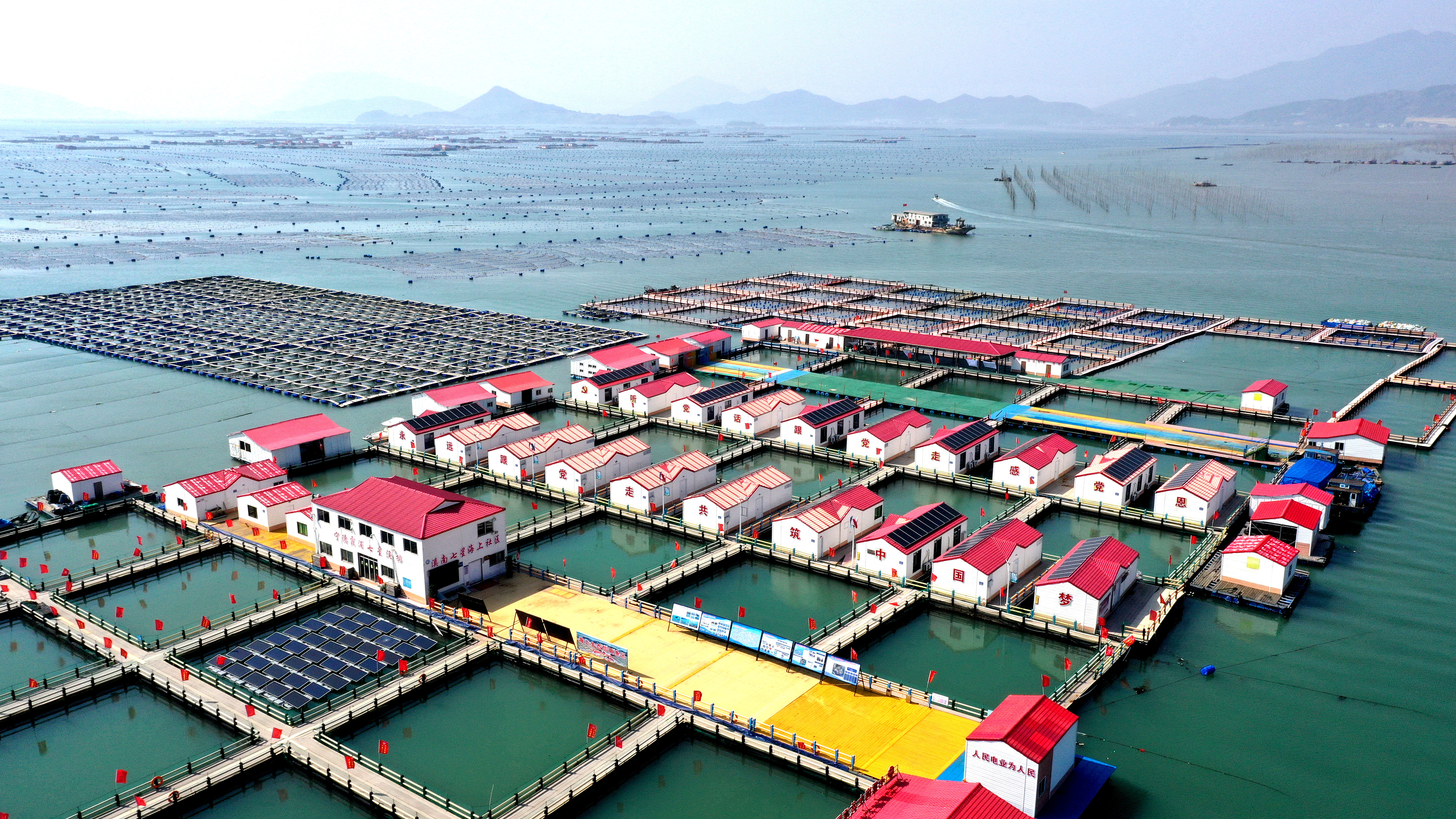 2024年3月20日，福建省寧德市，霞浦縣溪南鎮(zhèn)七星村漁排養(yǎng)殖示范區(qū)，漁民駕駛養(yǎng)殖船進(jìn)行海參養(yǎng)殖作業(yè)。
