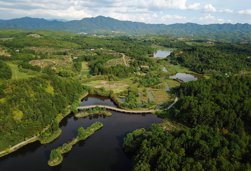 福建省龍巖市長(zhǎng)汀縣的長(zhǎng)汀汀江國(guó)家濕地公園景色（2020年7月28日攝，無人機(jī)照片）。新華社記者 魏培全 攝