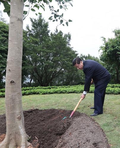 2012年12月7日至11日，習(xí)近平在廣東省考察工作。這是8日上午，習(xí)近平在深圳蓮花山公園種下一棵高山榕樹(shù)。新華社記者 蘭紅光 攝