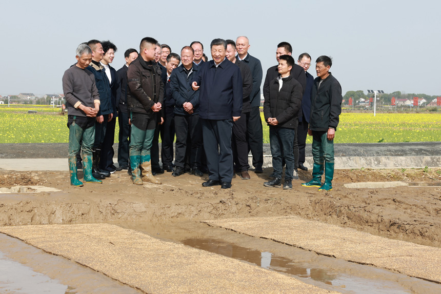 2024年3月18日至21日，中共中央總書記、國家主席、中央軍委主席習(xí)近平在湖南考察。這是19日下午，習(xí)近平在常德市鼎城區(qū)謝家鋪鎮(zhèn)港中坪村走進田間，察看秧苗培育和春耕備耕進展。新華社記者 王曄 攝