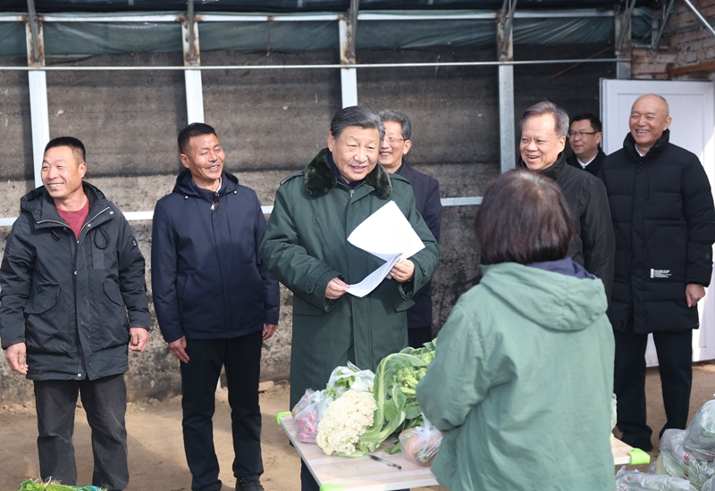 2024年2月1日，習(xí)近平總書記在天津市西青區(qū)辛口鎮(zhèn)第六埠村，走進(jìn)大棚同菜農(nóng)親切交流。