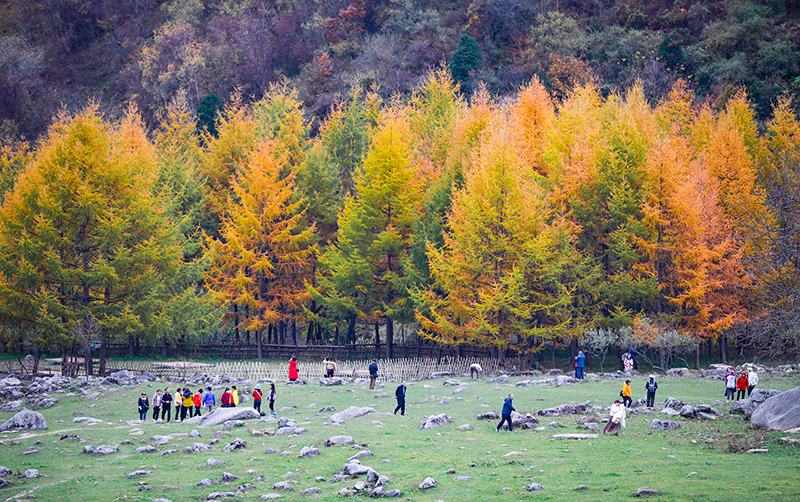 2023年10月27日，深秋時節(jié)的陜西秦嶺太子嶺漫山紅黃、色彩交織，進入最佳觀賞期。