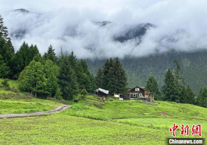 6月10日，魯朗小鎮(zhèn)高山牧場(chǎng)景區(qū)風(fēng)光?！∪轿木?攝