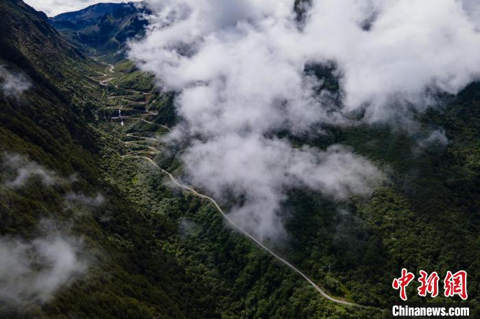 西藏山南勒布溝景區(qū)的盤山公路被云霧環(huán)繞?！〗w波 攝