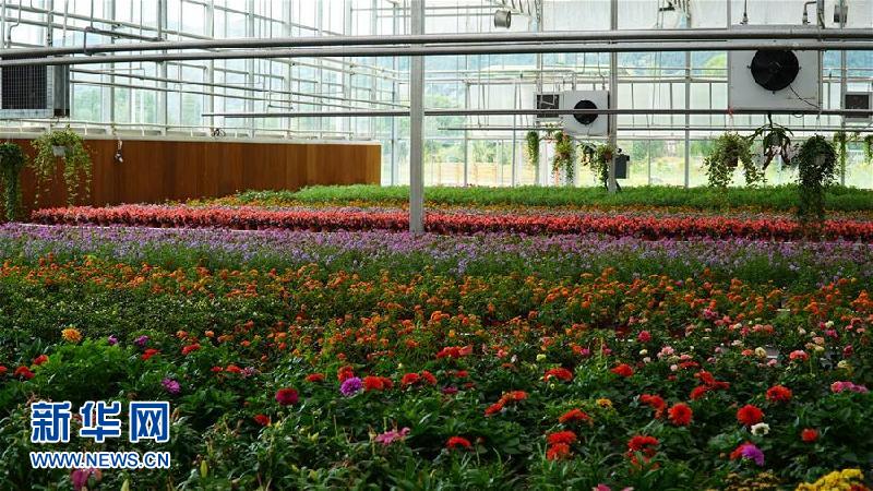 (圖文互動(dòng))(3)鮮水河畔的期待