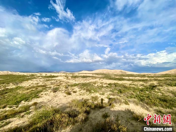 圖為關(guān)停四年后的沙島景區(qū)現(xiàn)狀?！±罱瓕?攝