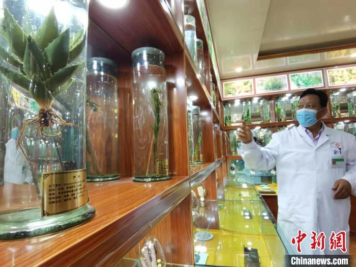 甘肅省甘南藏族自治州碌曲縣藏醫(yī)院副院長看照加近30年的從醫(yī)工作，堅持中藏醫(yī)特色優(yōu)勢相結合診療方法?！堟?攝