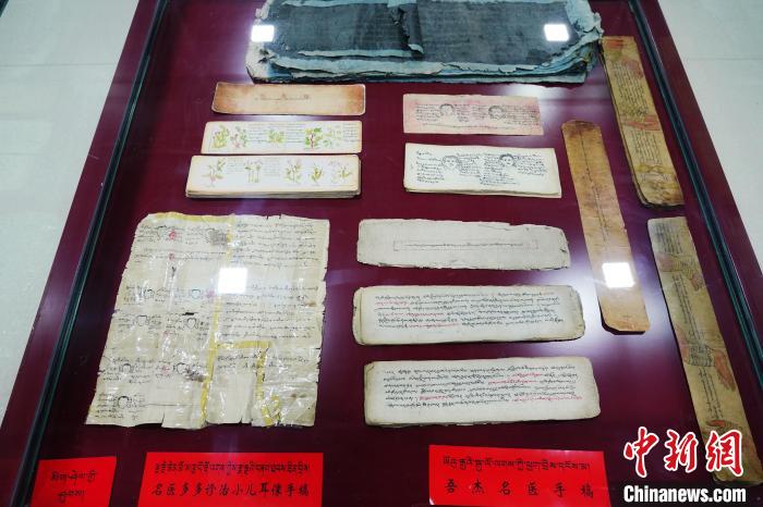 圖為藏醫(yī)古集文獻(xiàn)和藏醫(yī)臨床原始手稿?！●R銘言 攝