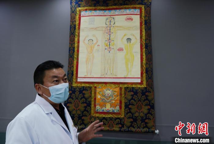 圖為興?？h藏醫(yī)院院長(zhǎng)介紹藏醫(yī)四部醫(yī)典詳實(shí)圖?！●R銘言 攝