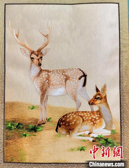 圖為藏繡作品?！∑钤鲚?攝
