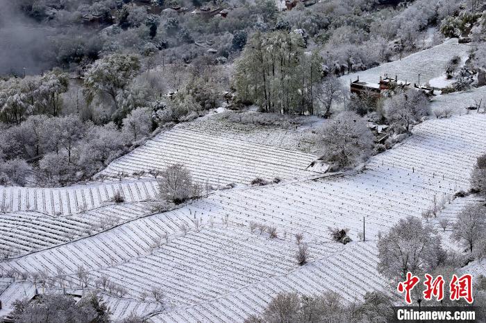 雪后的高山田間如畫。　李永安 攝