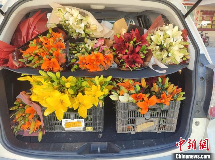 剛剛采摘下來的百合花?！∪捞量h委宣傳部供圖