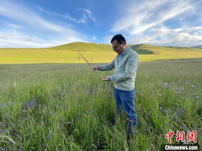 青海達(dá)日“援青縣長(zhǎng)”：雪域高原生態(tài)、民生“并蒂花開”