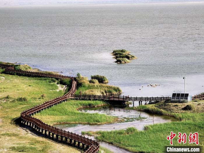 圖為都蘭湖國家濕地公園觀光棧道?！∑钤鲚?攝