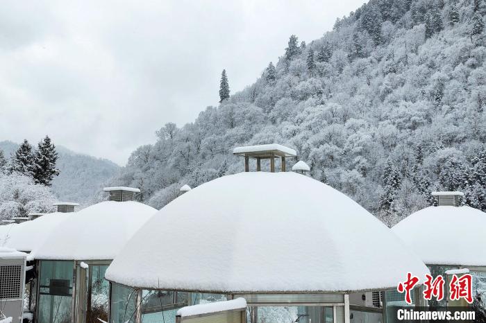 大熊貓國家公園王朗片區(qū)春雪如畫，宛若仙境?！×_春平 攝