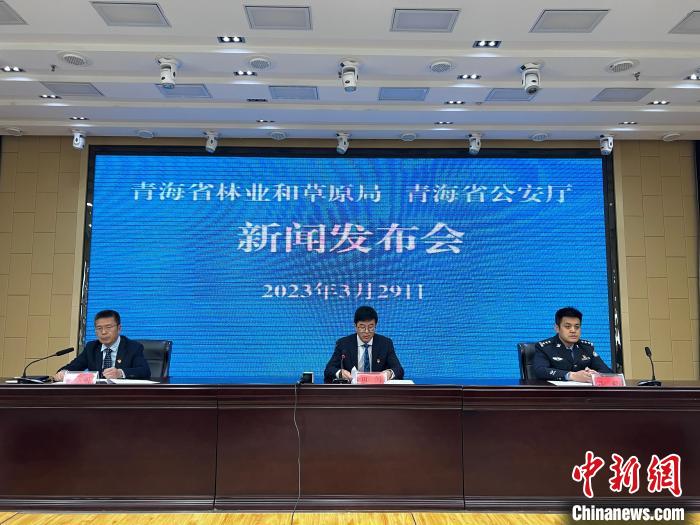 青海去年占用林地、草地準(zhǔn)予許可件同比實(shí)現(xiàn)“雙減”