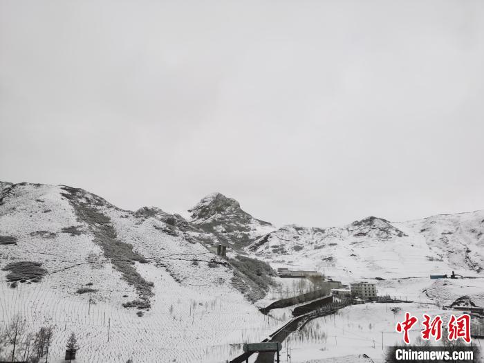 圖為青海省東南部的青沙山區(qū)域銀裝素裹。　張?zhí)砀?攝