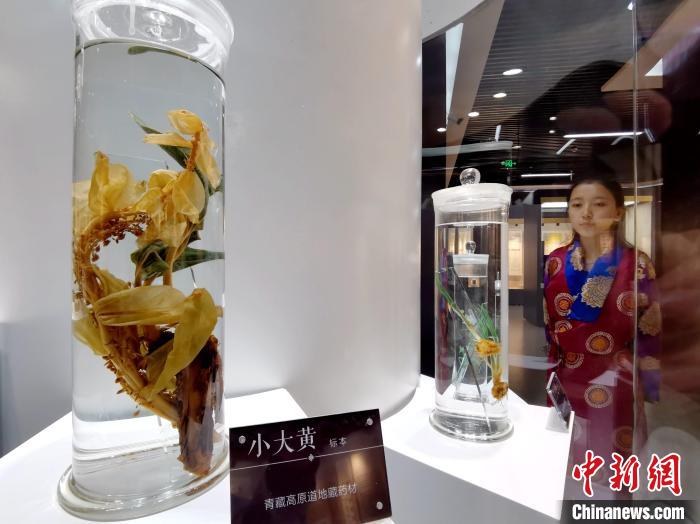 青海中藏醫(yī)藥發(fā)展提速：建設(shè)一批重點(diǎn)?？茖W(xué)科，推廣一批適宜技術(shù)