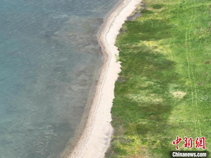 圖為航拍仲夏時節(jié)，青海湖畔綠茵如毯?！∑钤鲚?攝
