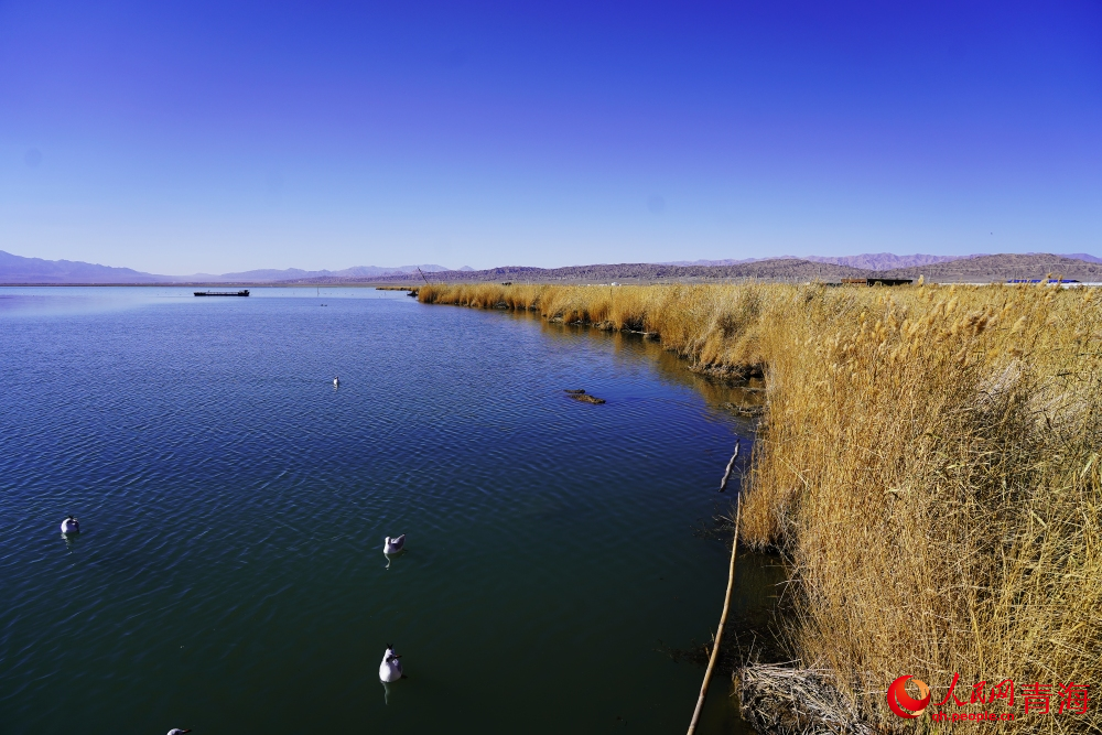 可魯克湖秋色如畫。人民網(wǎng) 陳明菊攝