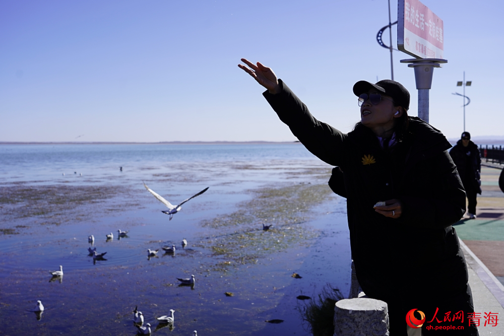 游客投喂水鳥。人民網(wǎng) 陳明菊攝
