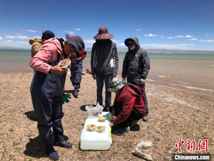 科考隊員在高原湖泊岸邊進餐?！?lt;a target='_blank' ><p  align=