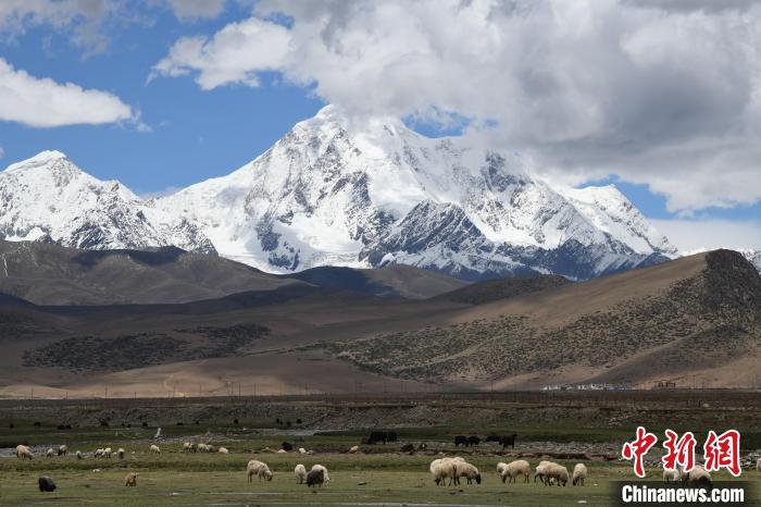資料圖為拉薩市尼木縣境內(nèi)的瓊姆崗嘎雪山?！∝暩聛?lái)松 攝