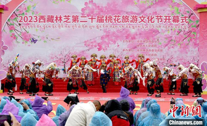 3月28日，西藏林芝第二十屆桃花旅游文化節(jié)開幕式上的文藝表演?！±盍?攝