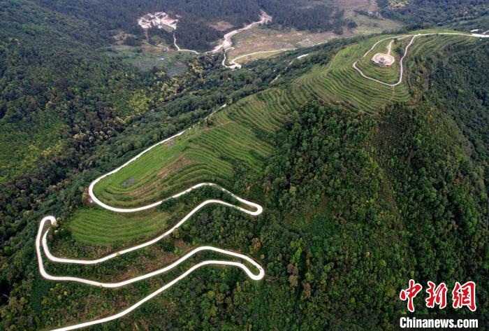 圖為西藏林芝市墨脫縣背崩鄉(xiāng)格林村山頂?shù)木坝^茶園。(無人機照片) 李林 攝