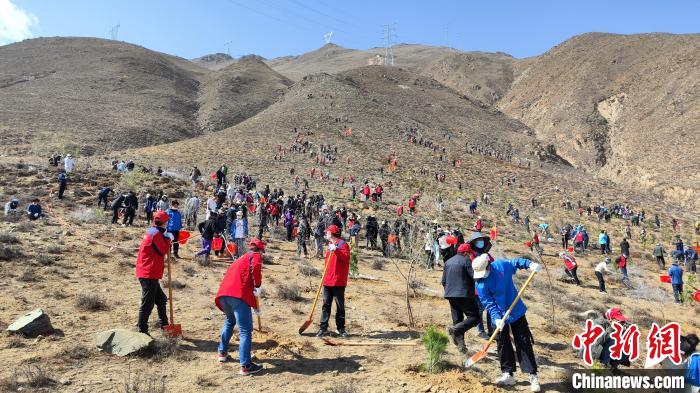 圖為組織開展植樹造林活動。　共青團(tuán)西藏自治區(qū)委員會供圖