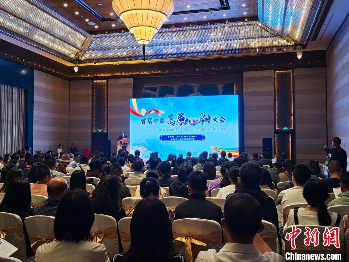 圖為首屆中國高原心胸大會現(xiàn)場。　頓旦旺姆 攝