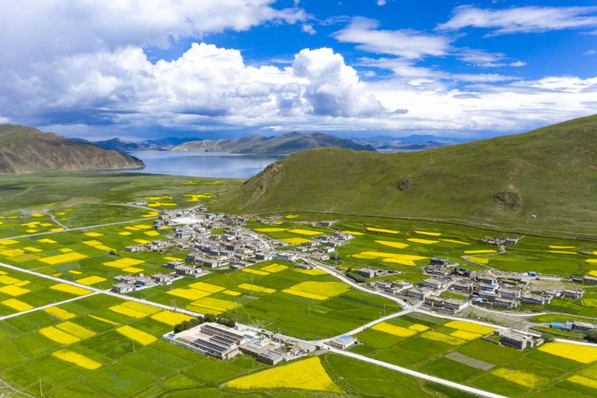 航拍道布龍村，依山傍水，阡陌縱橫。