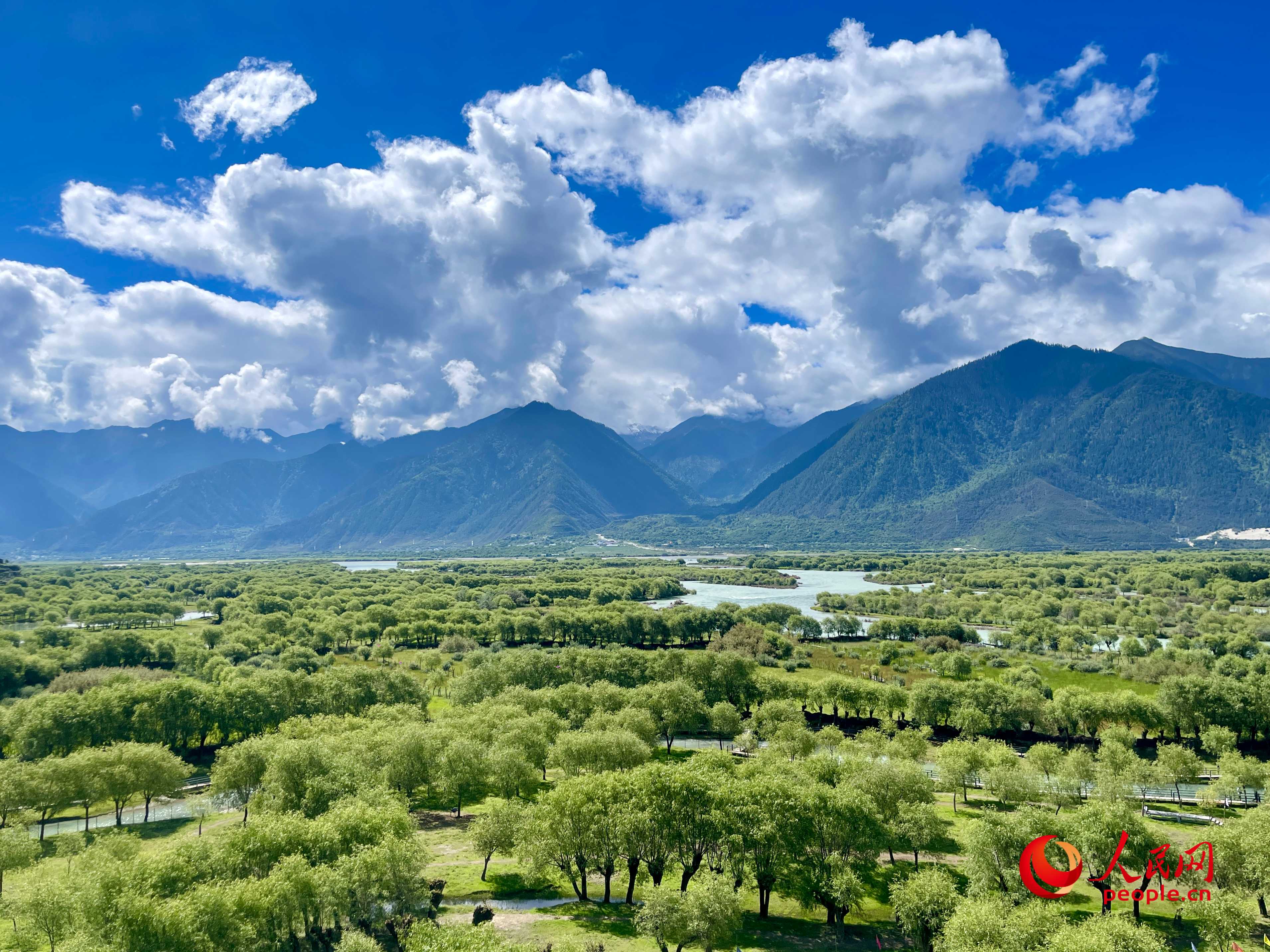 夏日的雅尼國家濕地公園生機盎然，如詩如畫。人民網(wǎng) 周靜圓攝