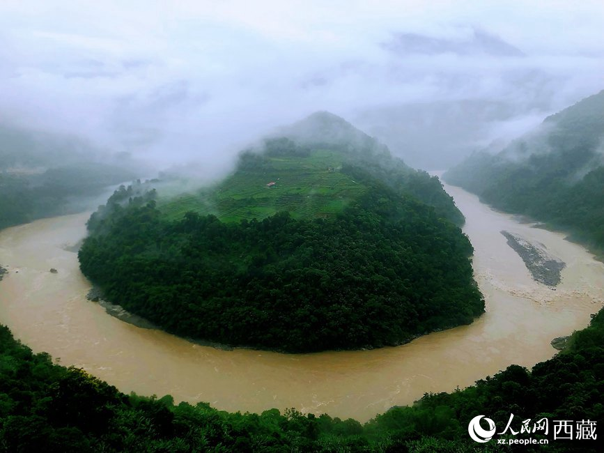雅魯藏布江大峽谷蛇形拐彎處，山坡上種滿茶樹。