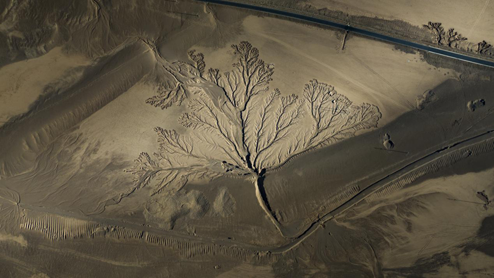 無人機(jī)視角下的西藏阿里地區(qū)改則縣“大地之樹”景觀。尼瑪多吉攝