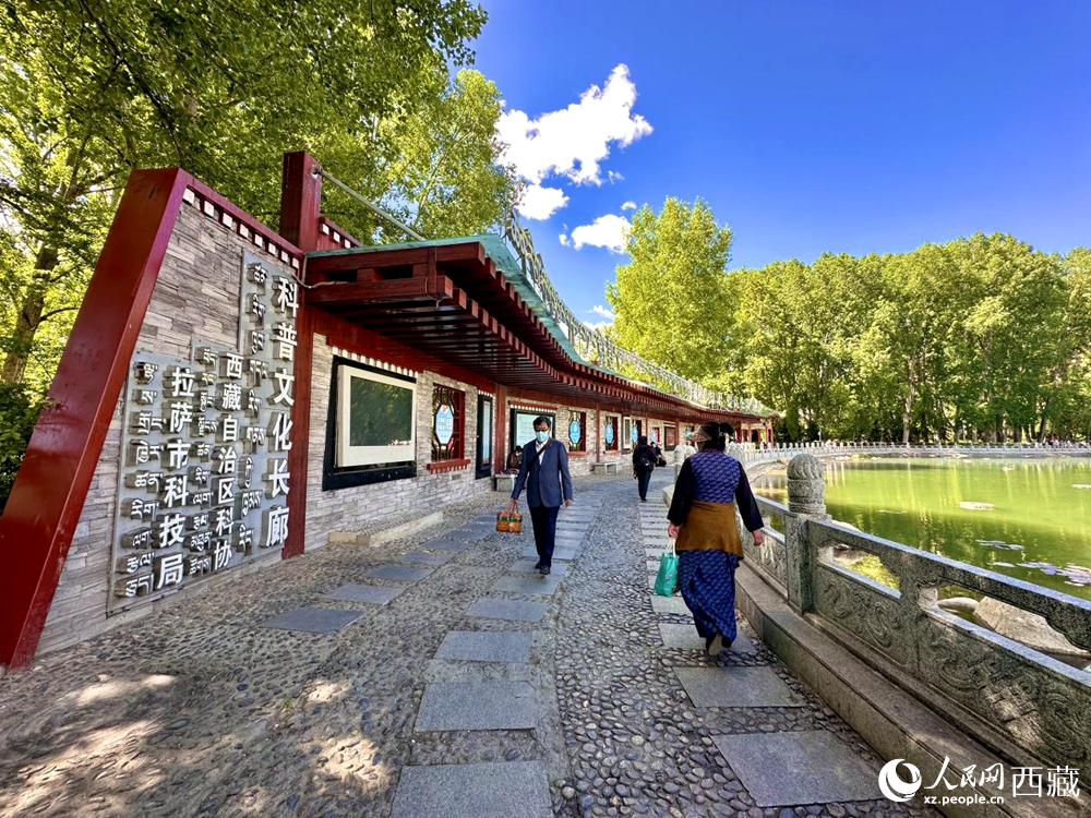 公園內(nèi)的科普文化長(zhǎng)廊。