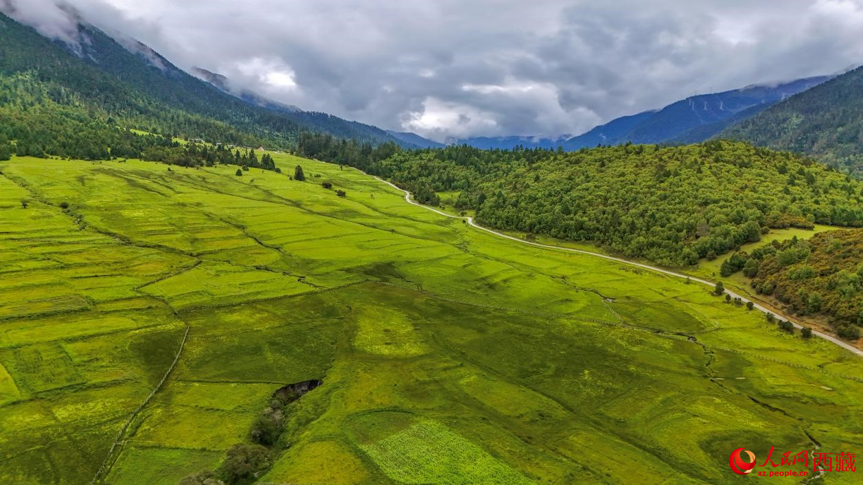 圖為航拍高山牧場(chǎng)鳥(niǎo)瞰圖。人民網(wǎng)記者 次仁羅布攝