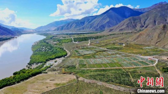 圖為桑日縣葡萄種植基地。　山南桑日縣委宣傳部提供